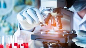 Todos los países de la OMS adoptan histórico acuerdo para luchar contra próxima pandemia - Mundo - ABC Color