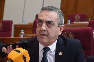Cartismo trataría pedido de intervención a Nenecho y Prieto, dice Esgaib - Política - ABC Color