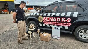 Interceptan nueva carga aérea desde EE.UU. por presunta marihuana - .::Agencia IP::.