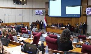 Senado rechaza proyecto que penaliza el criadazgo – Prensa 5