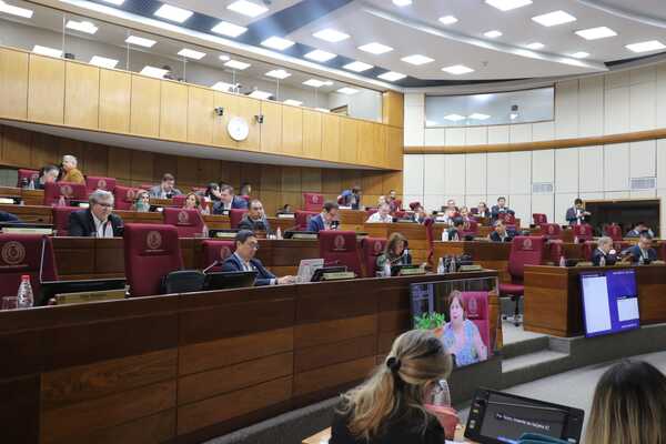 Rechazan el proyecto de ley que criminaliza el criadazgo - trece