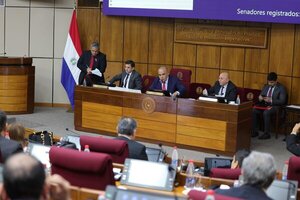 Cámara de Senadores rechazó la ley que penaliza el criadazgo | Unicanal