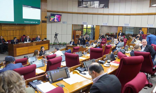 Con 25 votos en contra, el Senado rechaza castigar el criadazgo como delito - OviedoPress