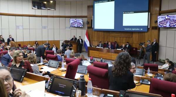 Rechazo en el Senado frena ley que buscaba proteger a niños del criadazgo