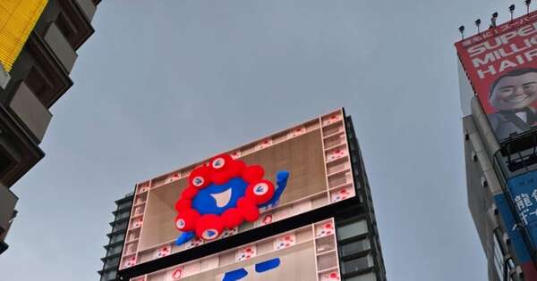 La Nación / Paraguay busca conquistar exigente mercado japonés
