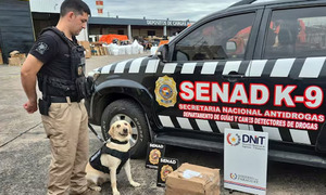 Cae otra encomienda aérea con marihuana desde Miami - OviedoPress