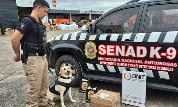 Cae otra encomienda aérea con marihuana desde Miami - OviedoPress
