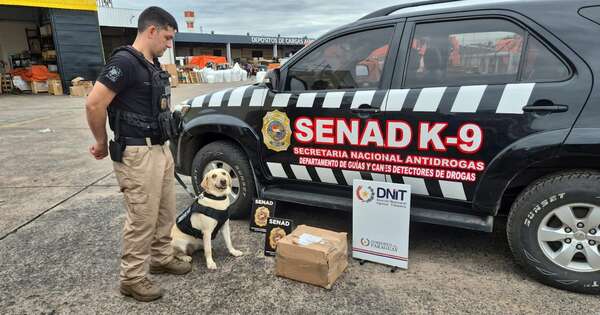 Diario HOY | Interceptan nueva carga aérea con marihuana desde Estados Unidos