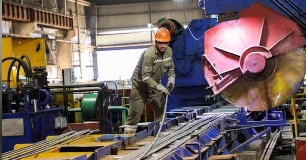 La Nación / El crecimiento económico se reflejó en el alza de importación de materia prima