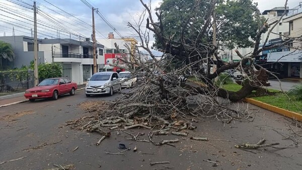 Video: Parte de un árbol cae sobre un motociclista en Encarnación