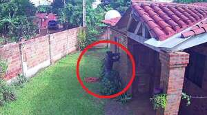 Luque: Vecinos de Itapuamí denuncian robos diarios cometidos por adictos - Policiales - ABC Color
