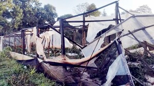 Reciente temporal se ensañó con huertas de productores en Itapúa
