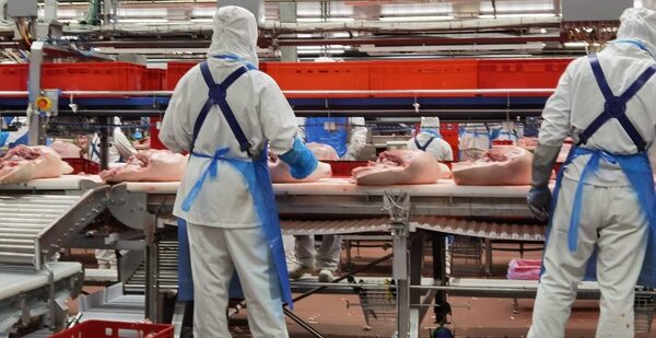 Rediex busca aumentar la presencia de productos y servicios paraguayos en los mercados internacionales