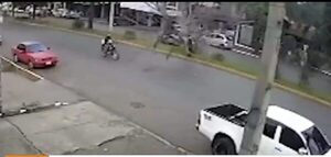 (Video) ¡Motoca se salvó por un pelo de ser aplastado por un árbol!