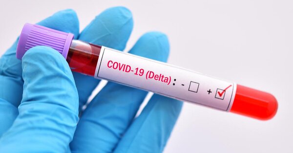 Covid-19 sigue preocupando: Reportan un promedio de 3 casos por día en Alto Paraná - ADN Digital