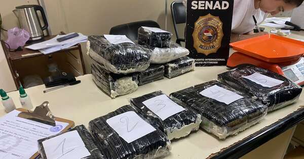 Diario HOY | Encomienda de Portugal tenía más de 16 kilos de marihuana de alta potencia