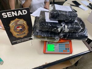 Encomienda procedente de Portugal contenía más de 16 kilos de marihuana de alta potencia - 1000 Noticias