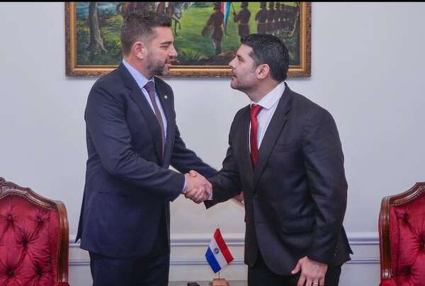 Alliana tiene en sus manos intervención a Nenecho y Prieto - Nacionales - ABC Color