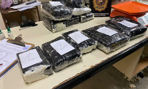Marihuana de alto poder desde Portugal: SENAD frustra intento de ingreso al país - OviedoPress