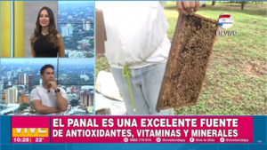Conocemos más sobre los beneficios de la miel