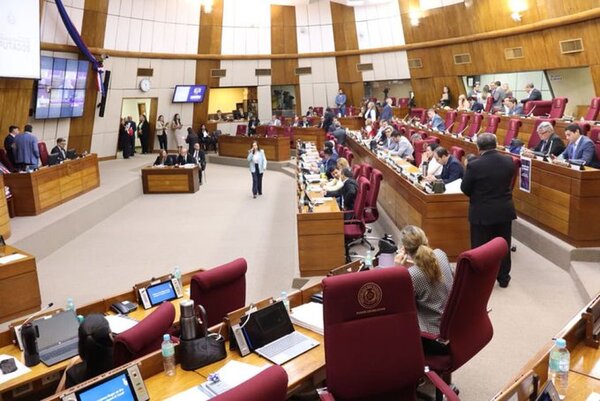 Presentan pedido de intervención de los municipios de Asunción y CDE en Diputados