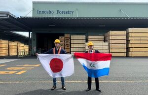 Paraguay presenta oportunidades del sector forestal a Innosho Forestry, referente global en madera de Japón - MarketData
