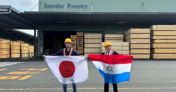 La Nación / Evalúan oportunidades de negocio con empresa forestal japonesa