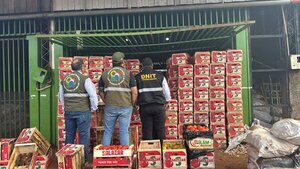 Incautan cargas de zanahorias y cebollas que habrían ingresado de contrabando - 1000 Noticias