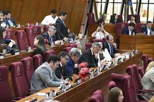 AUDIO: Llegó a Diputados el pedido de intervención a la Municipalidad de Asunción y Ciudad del Este - Periodísticamente - ABC Color