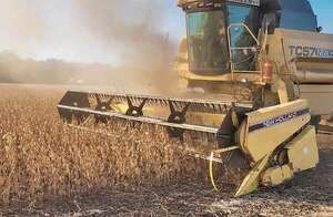 Denuncian falta de transparencia en descuentos a productores de soja - Economía - ABC Color