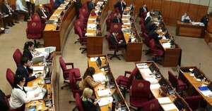 La Nación / Estudiarán proyectos contra mafia de pagarés