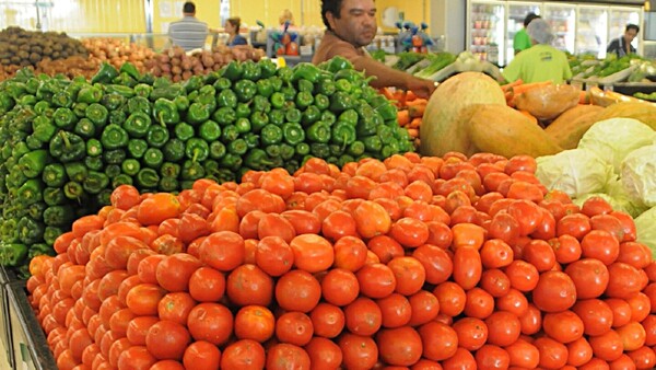 Culpan a los intermediarios por alto precio del tomate