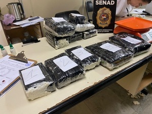 Frustran ingreso de marihuana de alta potencia proveniente de Portugal - trece