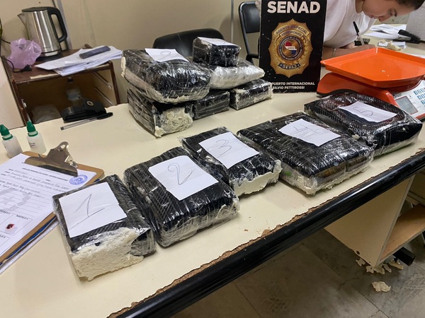 Frustran ingreso de marihuana de alta potencia proveniente de Portugal - trece