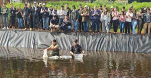 Yacyretá reactivó el estanque de la Facultad de Ciencias Agrarias de Santa Rosa, Misiones