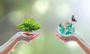 Día Internacional de la Biodiversidad si no la protegemos perdemos con cada extinción - OviedoPress