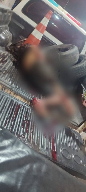Dos personas fueron atacadas por pitbulls en Remanso - 1000 Noticias