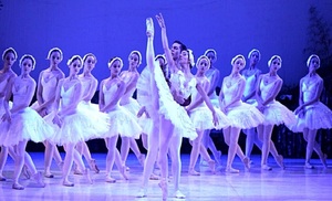 La magia de los cisnes volverá a hechizar el Teatro Municipal de Asunción - OviedoPress