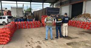 La Nación / Incautan diez toneladas de cebolla sin documentación de importación