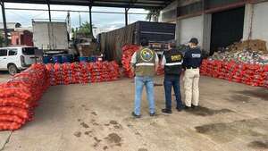 Incautan diez toneladas de cebolla sin documentación - Nacionales - ABC Color