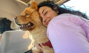 Perro fue asesinado de un disparo durante un paseo en la Playa Martinense - OviedoPress