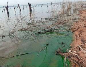 Temabiaporâ: denuncian contaminación del lago Yguazú - Nacionales - ABC Color