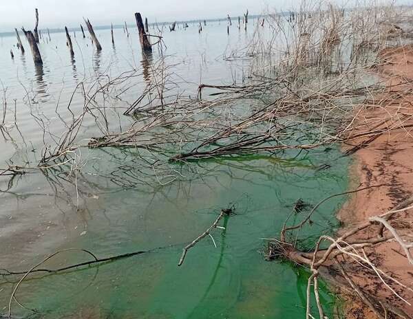Temabiaporâ: denuncian contaminación del lago Yguazú - Nacionales - ABC Color