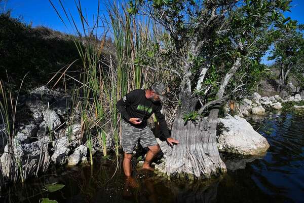 Everglades de Florida: sequía histórica pone en jaque a animales y operadores turísticos - Viajes - ABC Color
