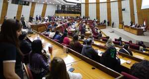 En audiencia pública afirman que eliminar el Ministerio de la Mujer será inconstitucional y un retroceso en los derechos - Política - ABC Color