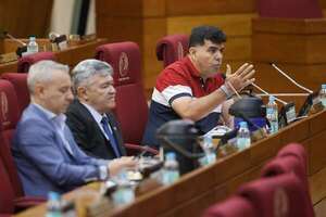 Intervención: plantean hacer el vacío en comisiones para no avalar “garrote” a Prieto - Política - ABC Color