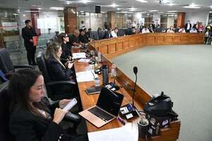 Oposición pide elecciones para eventual sucesor de Nenecho, pero TSJE dice que es inviable - Nacionales - ABC Color
