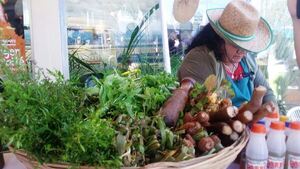 Plantas medicinales podrían traer consecuencias negativas para los niños - trece