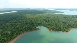 Día de la Biodiversidad: Itaipu resalta necesidad de proteger todas las especies - ADN Digital