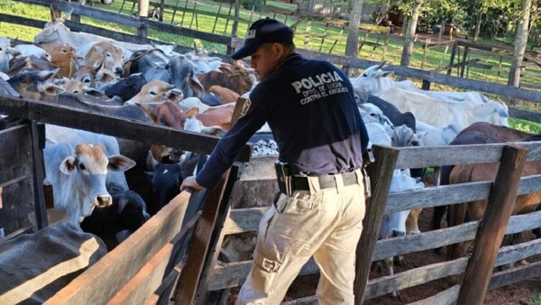 Robo de ganado en Yasy Cañy: Sospechosos siguen libres, pese a imputaciones y órdenes de captura